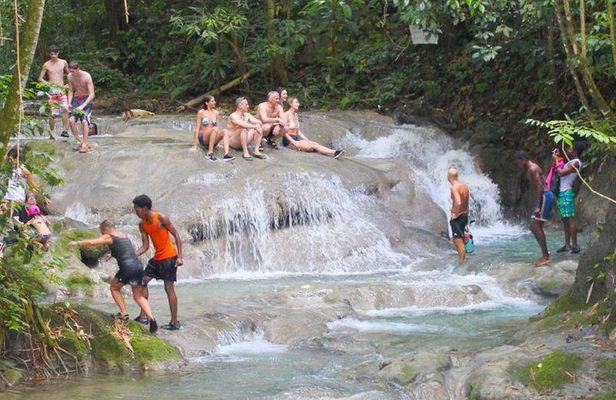 Mayfield Falls Private Tour