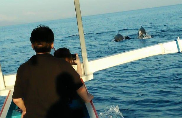 Lovina sunrise with Dolphin watching and Twin Banyumala Waterfall Day Trip