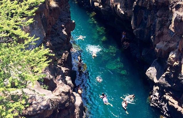 Bay Tour in Santa Cruz - Galapagos Islands