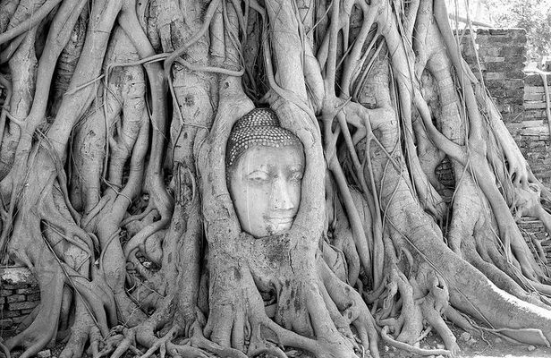 Private Trip : Ayutthaya historical venture, boat ride & lunch