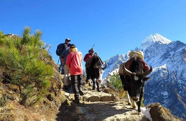Everest Base Camp Trek