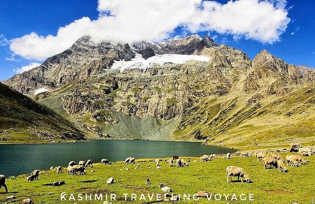 Kashmir Group Tour Packages : 4 Days 5 Nights