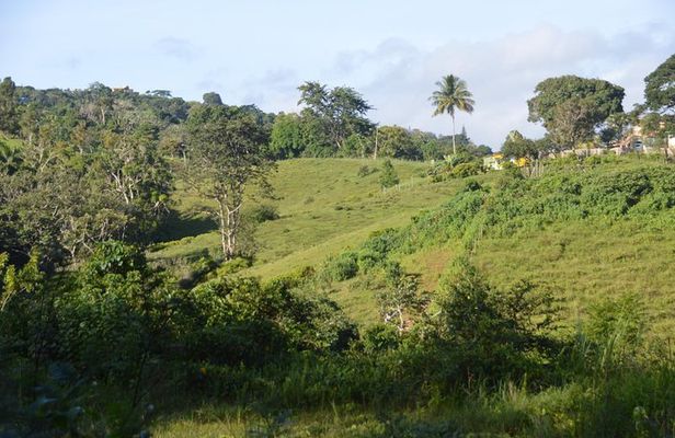 Puerto Rico Waterfall Hiking Tour: Discover Hidden Gems 2.0