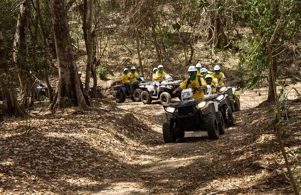 Jungle double ATV Tour "El Mirador" (ride tandem on ATV)