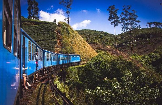 Sri Lanka 7 Days Tour Package – South Coast & Highlands