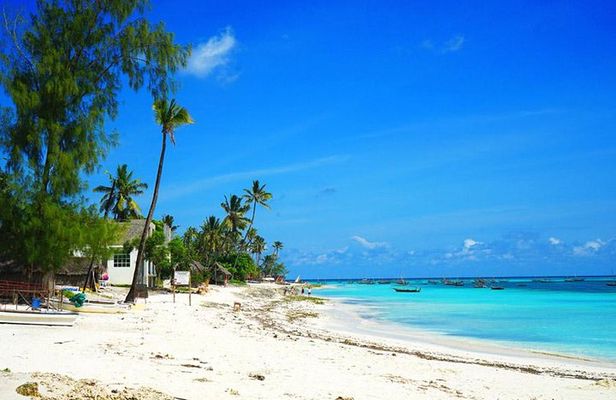 Nungwi Village & Sea Turtle Swimming Tour with Transfer-Zanzibar