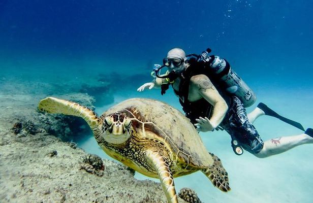 Diving Full Day For Beginners Boat Trip 2 Stops Diving and Lunch – Marsa Alam