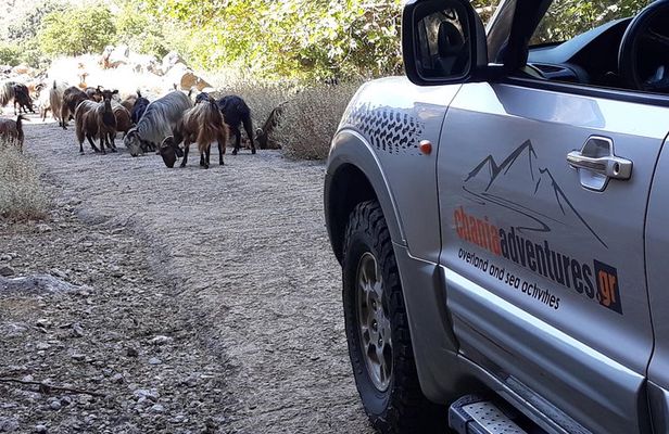 Private - Jeep Safari Tour with Lunch and Tastings
