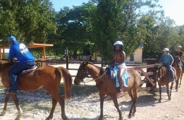 Horseback Ride Ziplining and Dunn's River Falls Adventure from Montego Bay,
