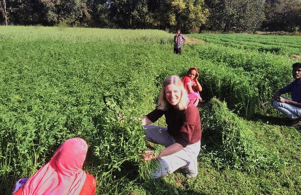 Countryside Village Tour- an authentic village visit