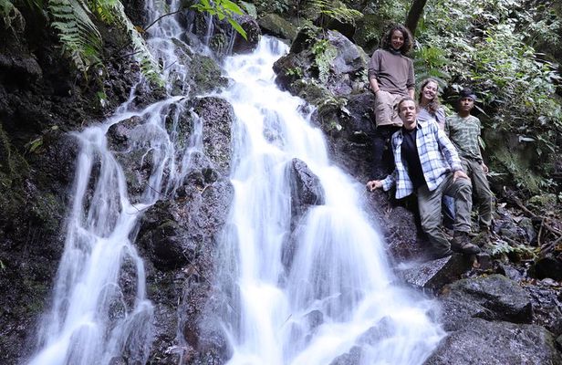 Waterfall Hike