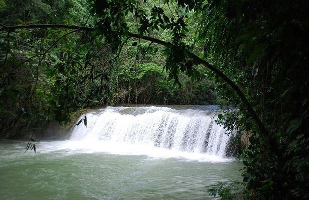 Ys Falls Private Tour