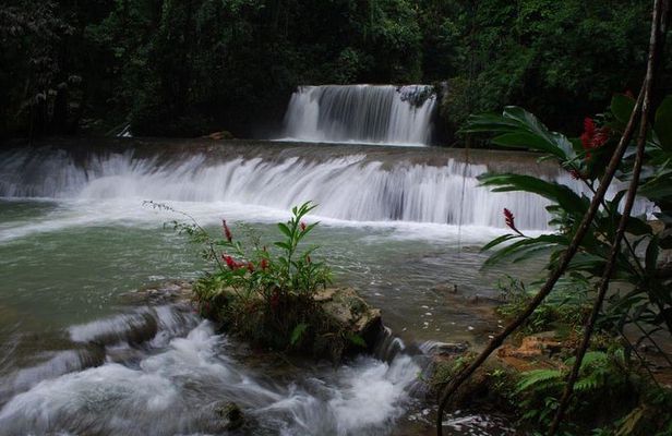 YS Falls and Floyds Pelican Bar