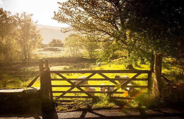 5-Day York, Lake District & Hadrian's Wall Tour from Edinburgh