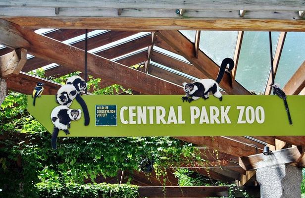 See 30 Top New York Sights (Walking Tour) & Visit Central Park Zoo.