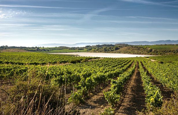 Rioja Wine Tour: wineries and Laguardia from Bilbao