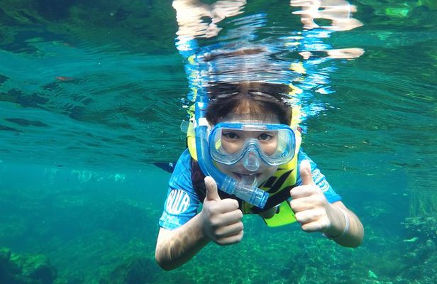 VIP Cenotes Private Tour