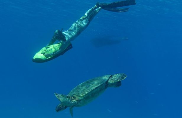 Oahu: SEABOB & Turtle Snorkeling Adventure