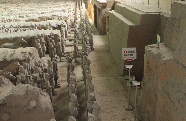 Half-day tour to the Terra Cotta Army Museum with great flexibility