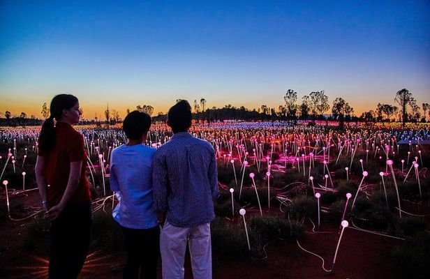Uluru (Ayers Rock) Field of Light Sunrise Tour