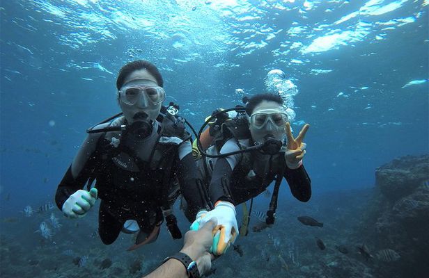 Blue Cave Area Experience Diving!Free feeding & photo images!English and Chinese speaking guide available!1 group with a dedicated instructor