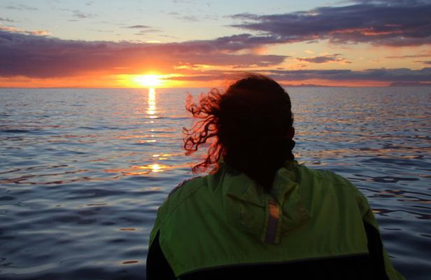 Midnight Sun Whale Watching from Reykjavik