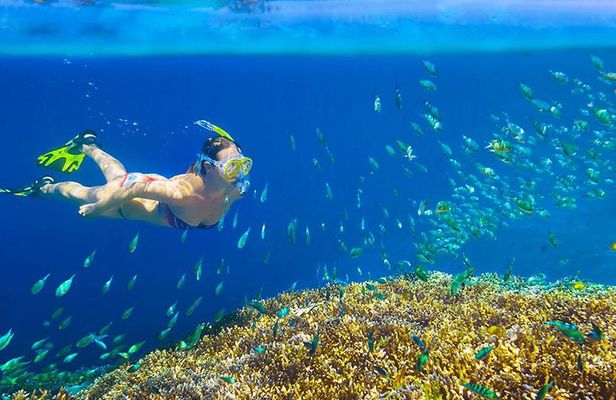 Private 3-Hour Snorkeling Tour with Arch Tour and Beach Time