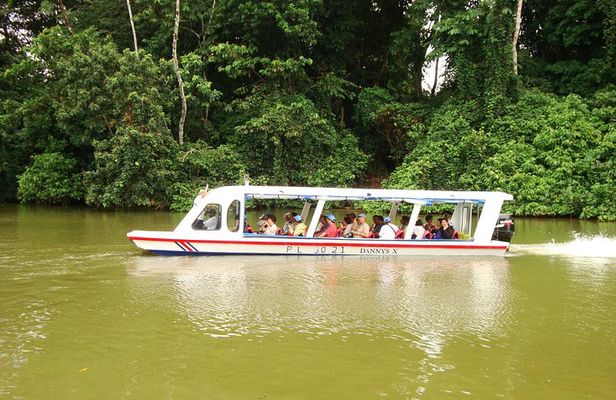 Sarapiqui River Cruise & Rainforest Walk. Private Tour