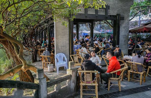Private Day Tour: Chengdu Panda Base & downtown walking tour