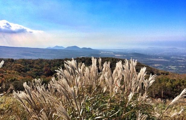 Jeju Premium Small Group UNESCO Day Tour - South Course