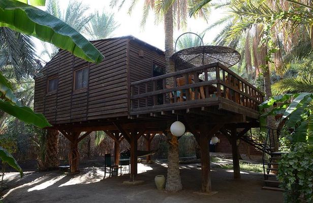 Sahara Prestige Tour from Hammamet or Sousse