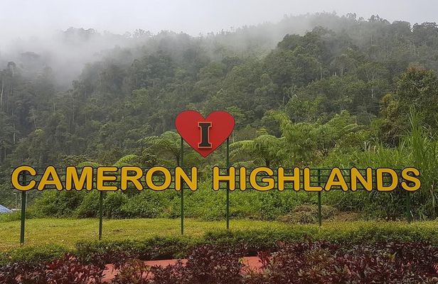 Cameron Highlands Amazing Day Trip Tour with Local Lunch