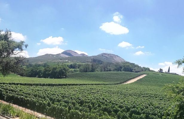 Private Full Day Tour in Cape Winelands