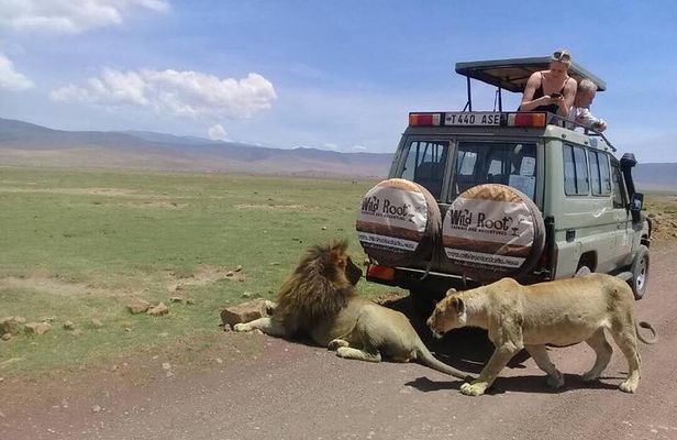 4: days Big five safari