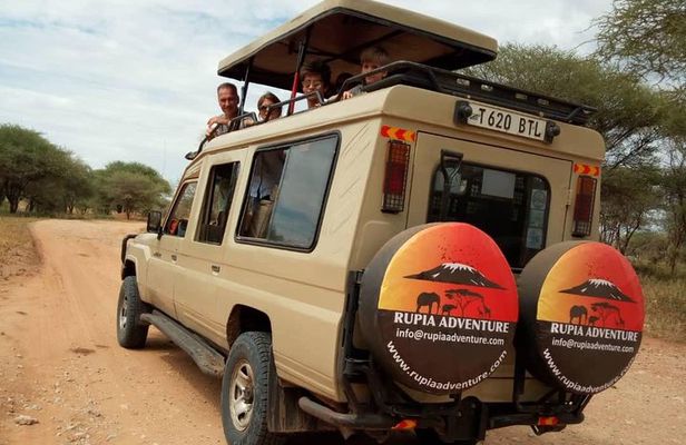2 Days Tanzania Safaris