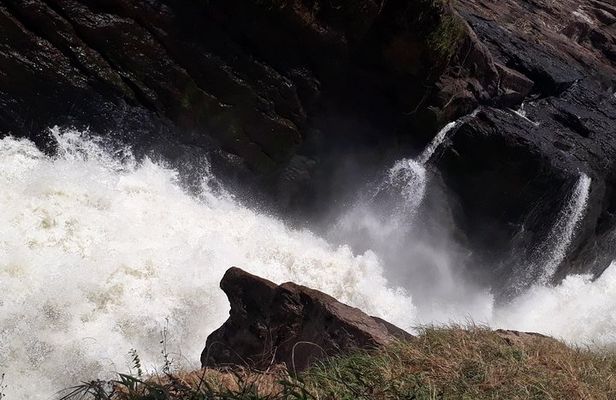 3 Day Private safari to Murchison Falls National Park with Big Five Experience