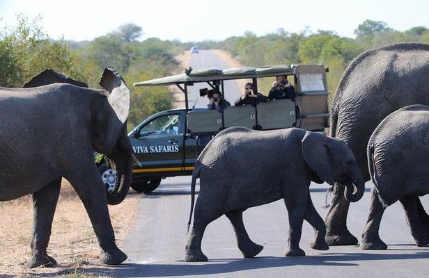 4 Day Classic Kruger National Park Safari