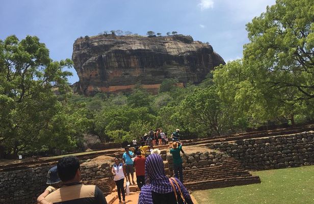 Sigiriya & Dambulla Day Tour