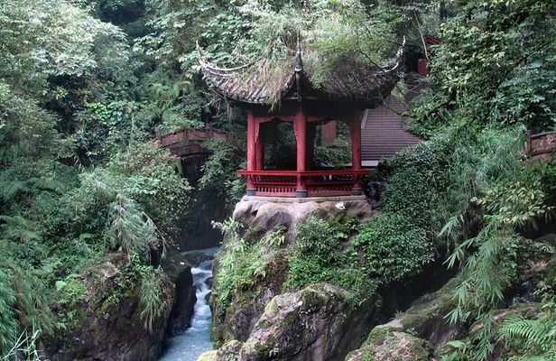 Leshan Grand Buddha & Mount Emei (Golden Summit) by high speed train 2 Day Tour