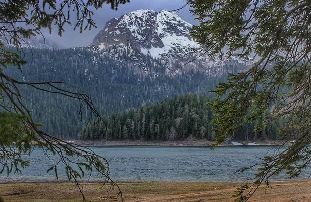 Black Lake and Djurdjevica Tara Bridge (Private tour)