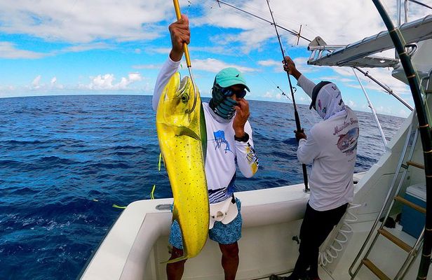Marlin Fever at Marina Cap Cana -Private Sportfishing Charter 