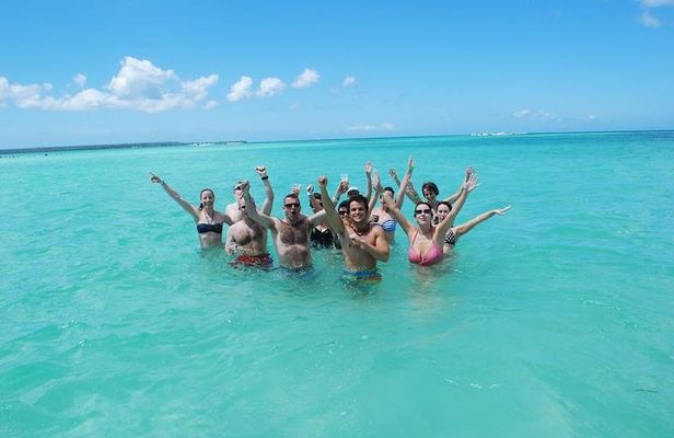 Saona Island Private +8 People Platinum Transfer