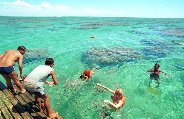 Discover Underwater Beauty: Explore Maracajaú's Parrachos Reef