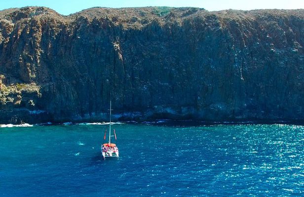 Whale Watching and Listening Eco Catamaran Tour with Food Tasting 