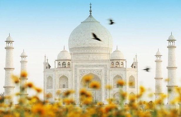 Private Indian Traditional tour of Taj Mahal