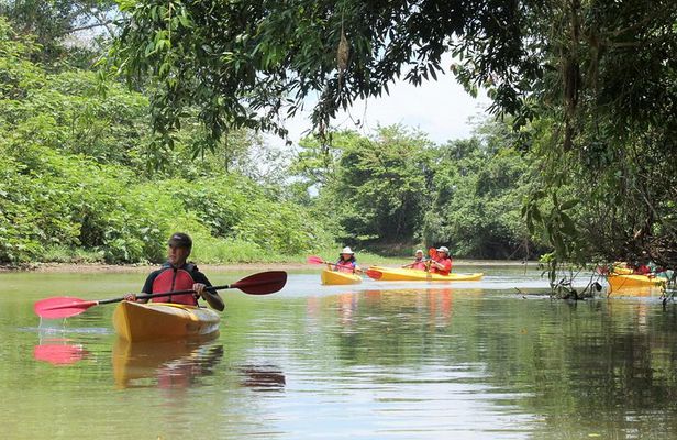 Kayak Safari