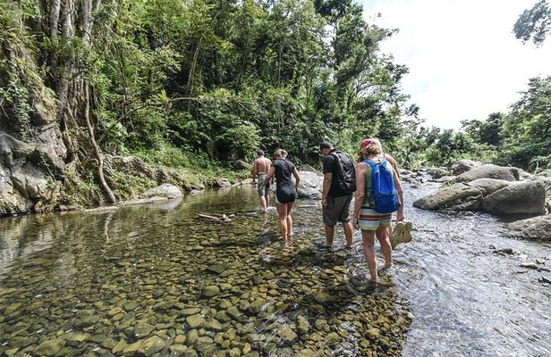 From San Juan: El Yunque Rainforest Hiking Adventure