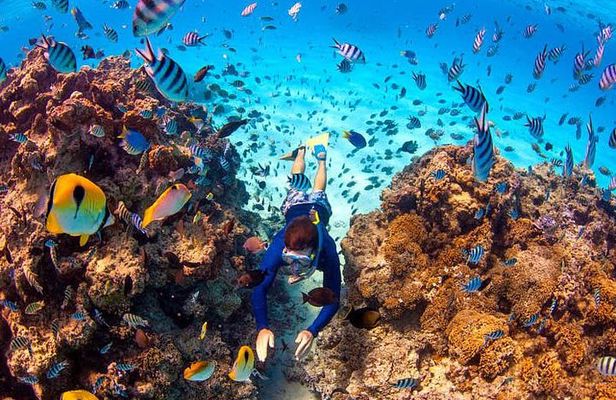 LUXURY Catamaran Bora Bora : Sailing, Snorkeling & Floating Bar 