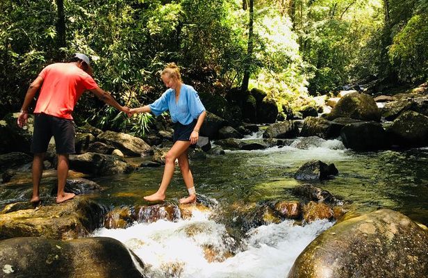 Explore Singharaja Forest Reserve (mirissa/weligama & Galle)