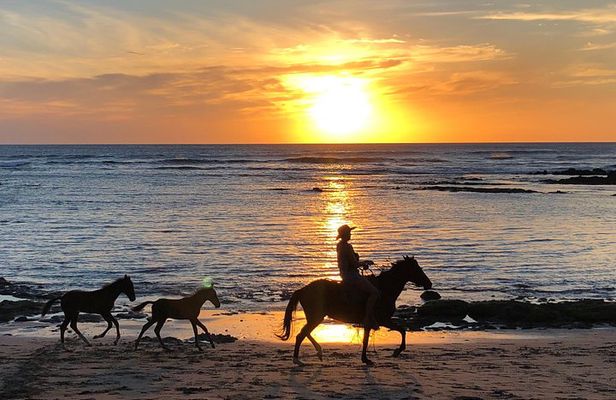 Private tours and transfer Costa Rica